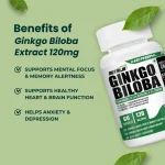 Ginkgo Biloba Extract 120mg Capsules - Image 3