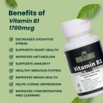 Vitamin<br> B1 1700mcg Tablets - Image 3
